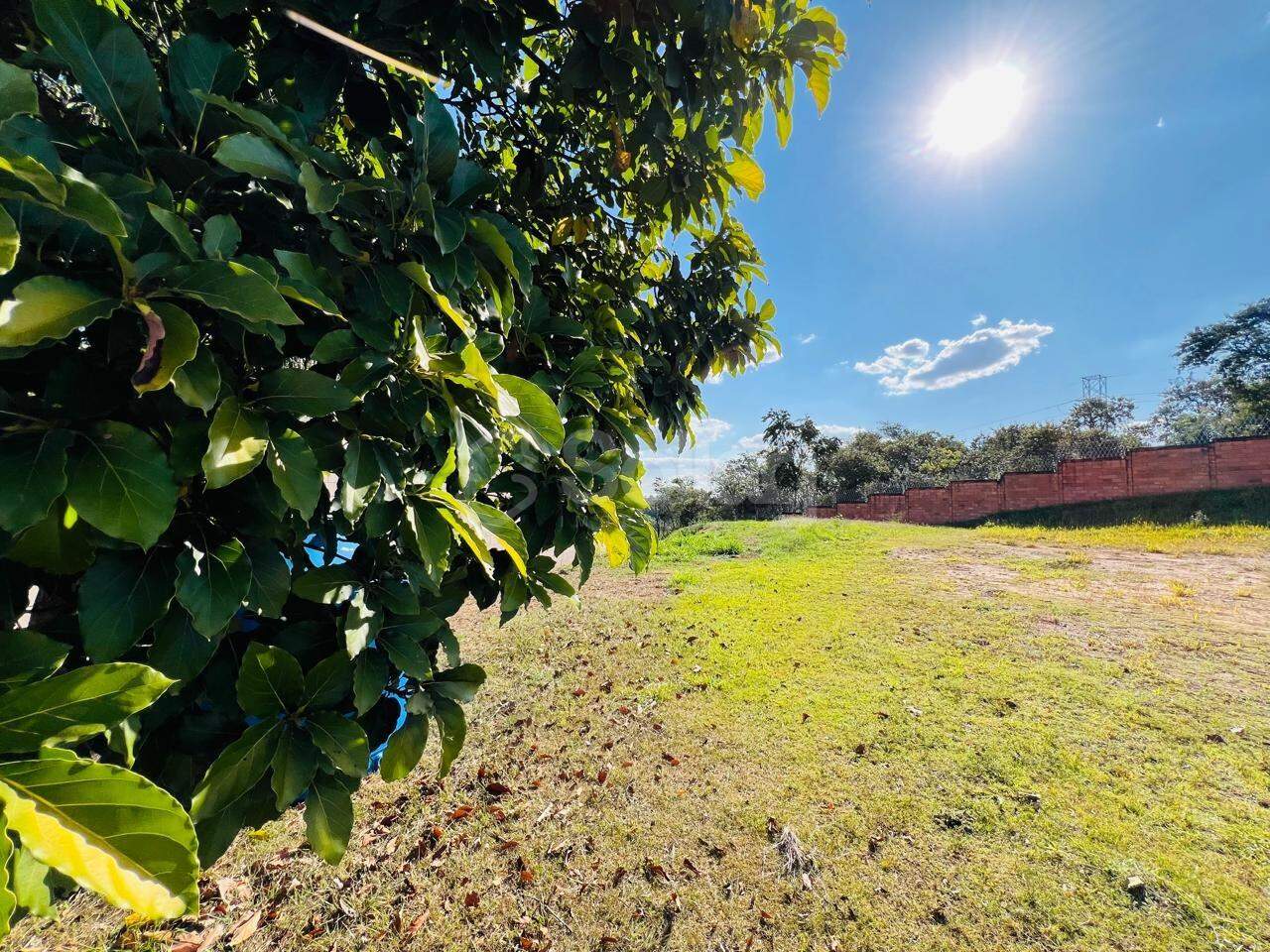 Terreno em condomínio à venda no Condomínio Bosque dos Cambarás: 