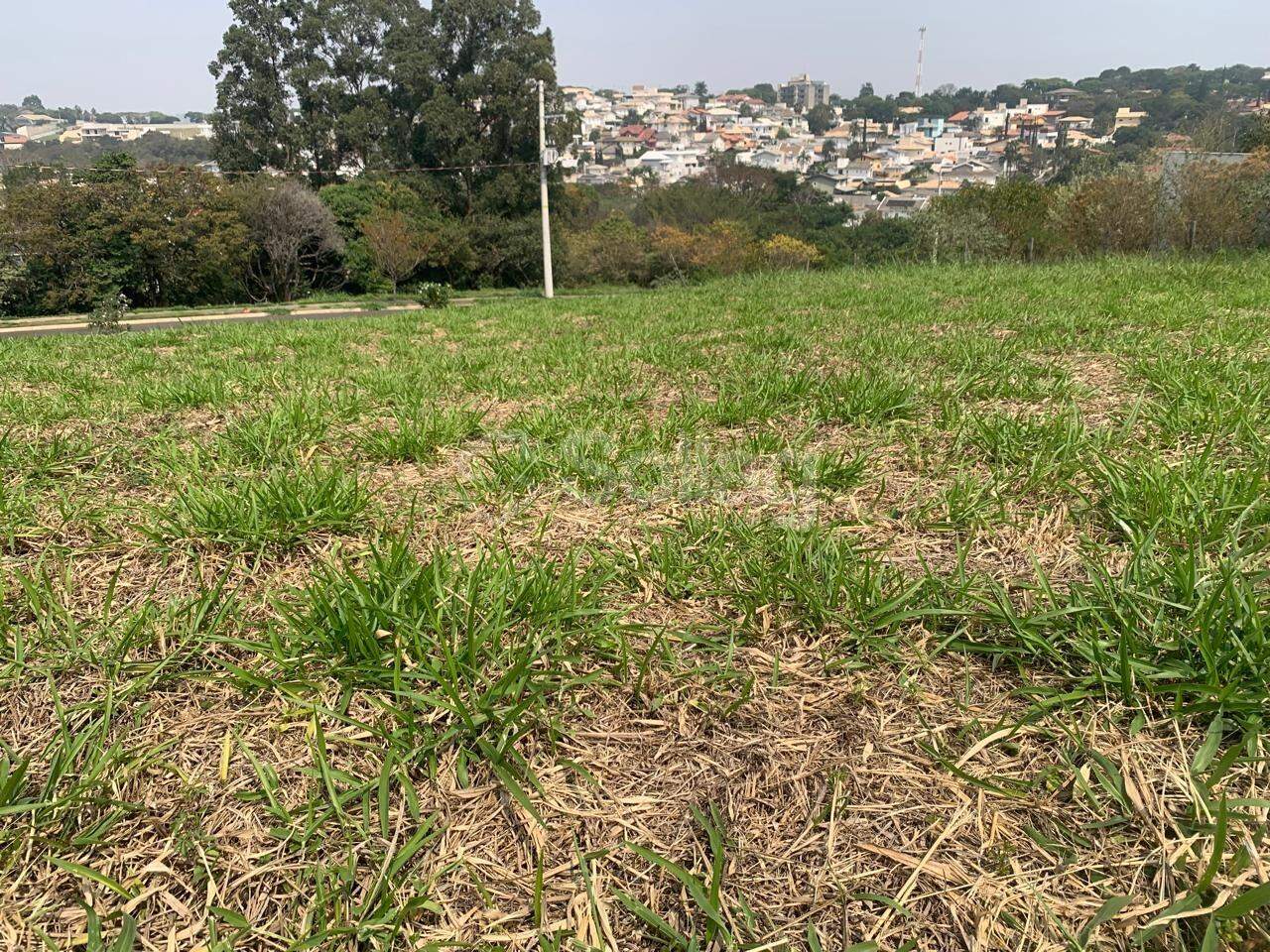 terreno à venda no Bosque: