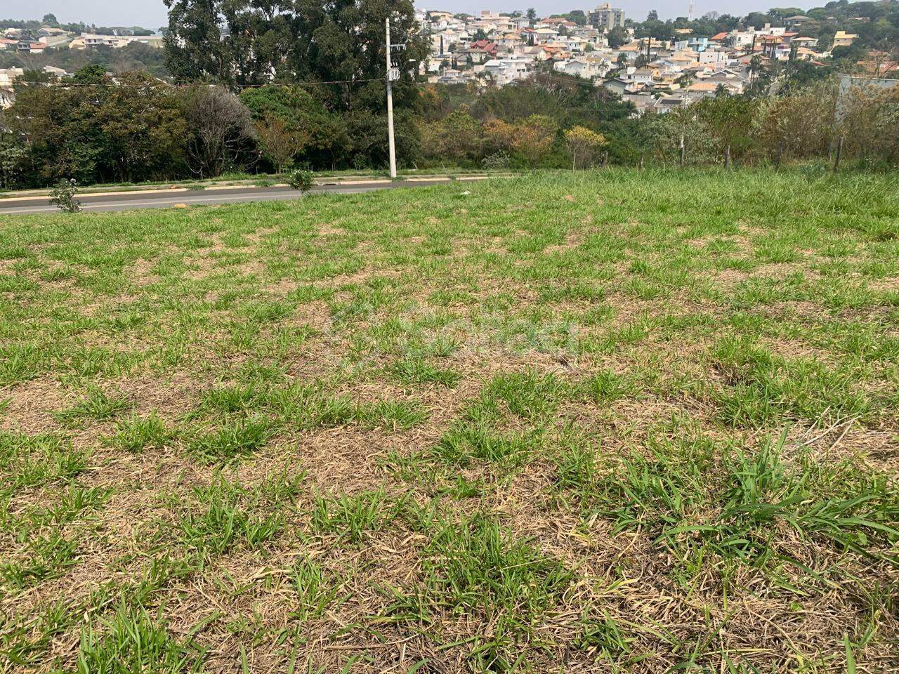 terreno à venda no Bosque: