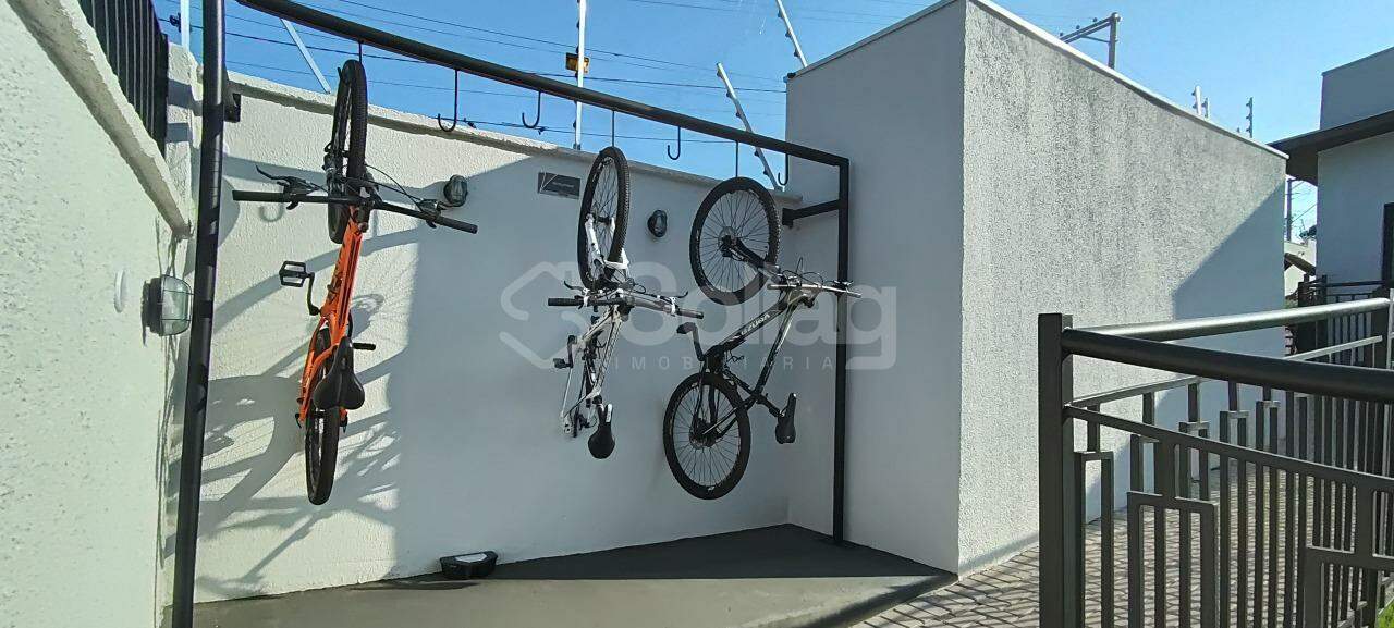 Apartamento para aluguel no Pinheirinho: 