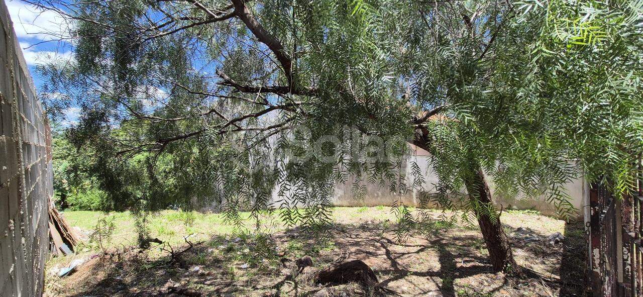 terreno à venda no Jardim Alto da Colina: 