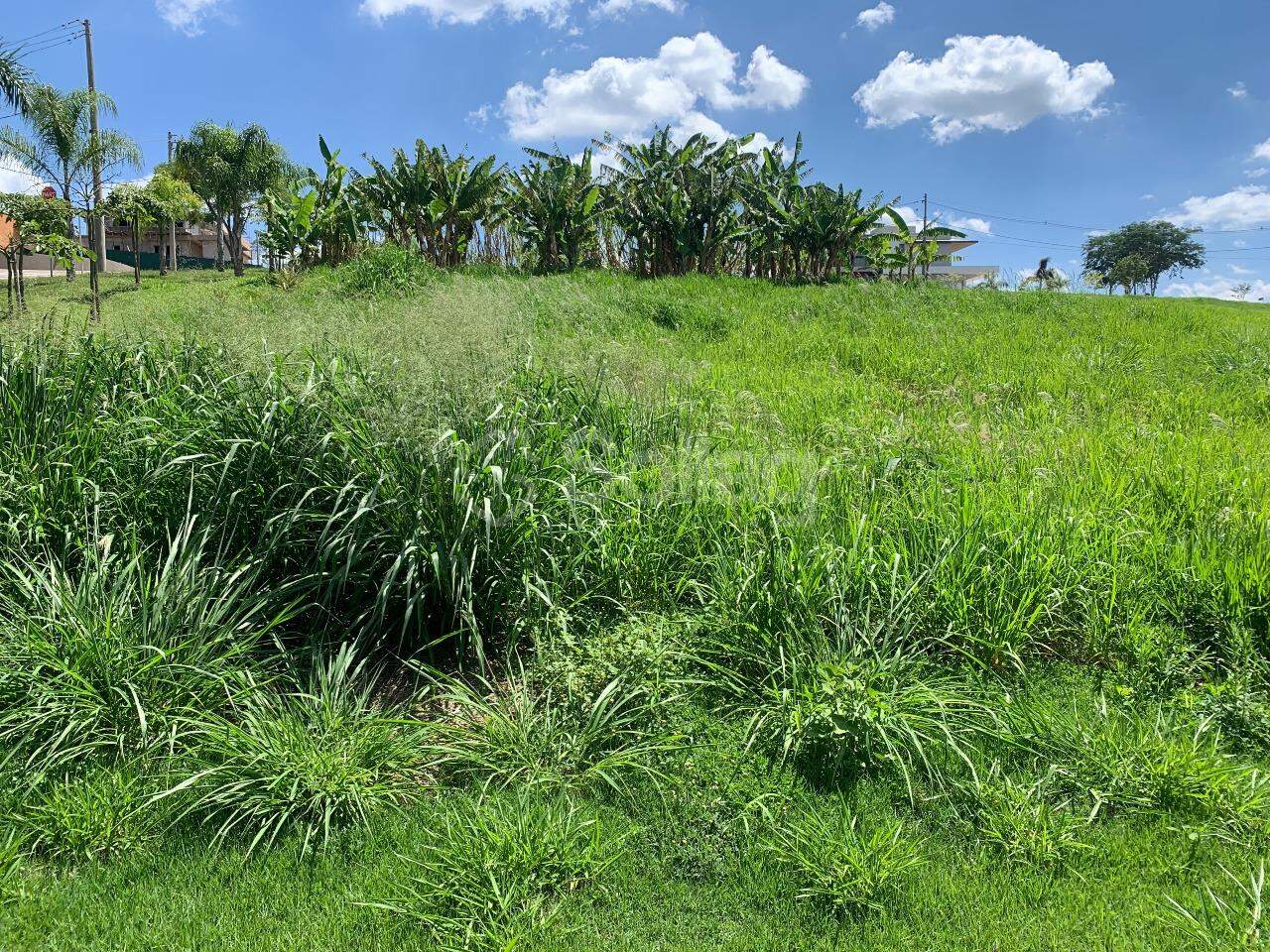 Terreno em condomínio à venda no Condomínio Reserva Santa Monica: 