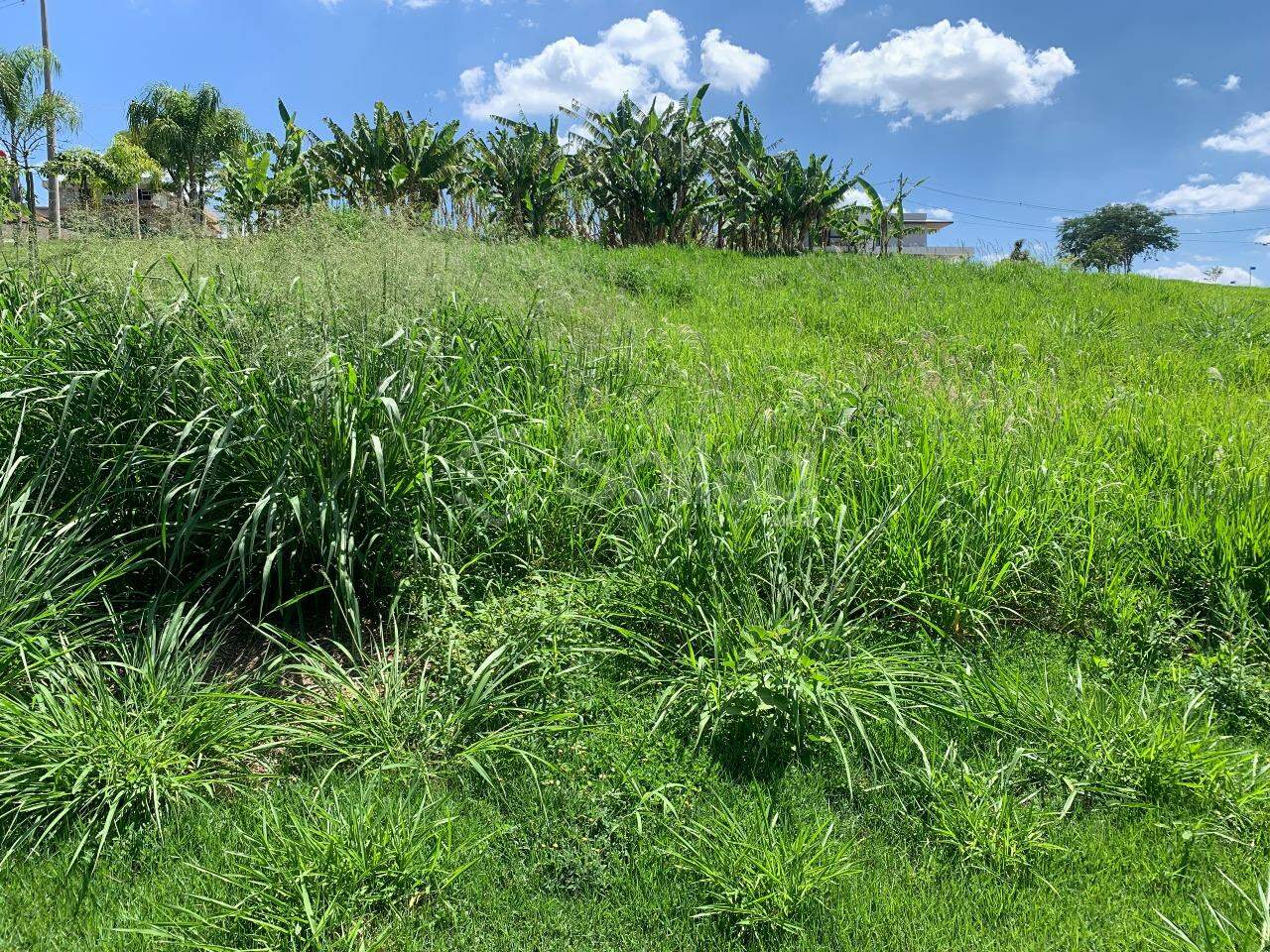 Terreno em condomínio à venda no Condomínio Reserva Santa Monica: 