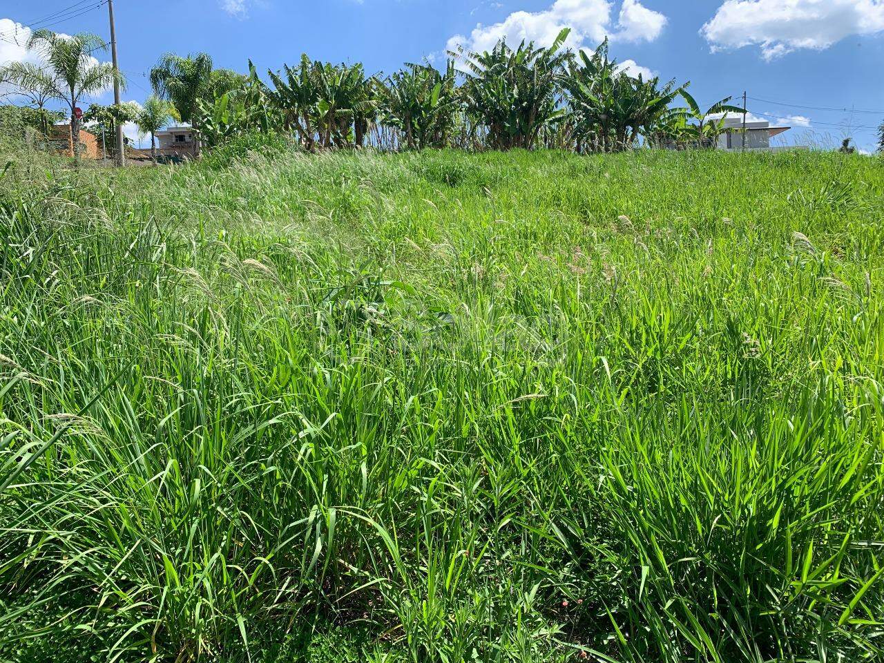 Terreno em condomínio à venda no Condomínio Reserva Santa Monica: 