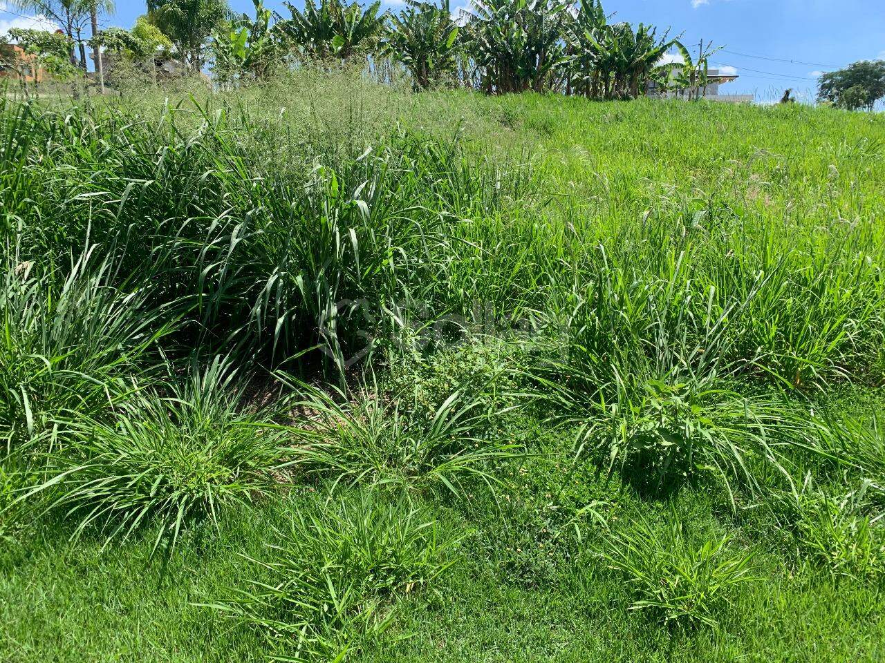 Terreno em condomínio à venda no Condomínio Reserva Santa Monica: 