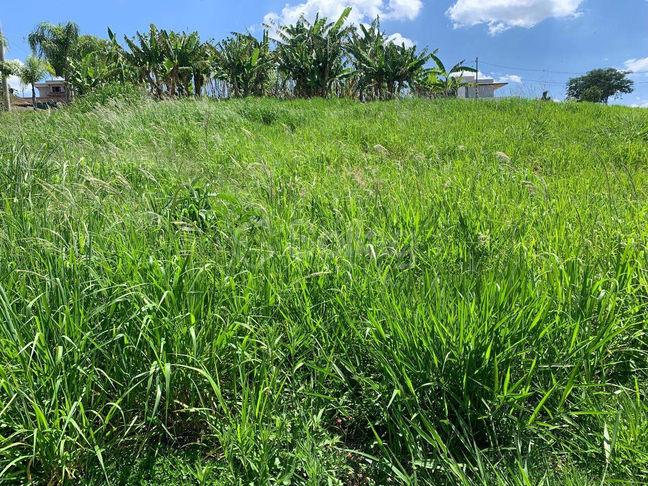 Terreno em condomínio à venda no Condomínio Reserva Santa Monica: