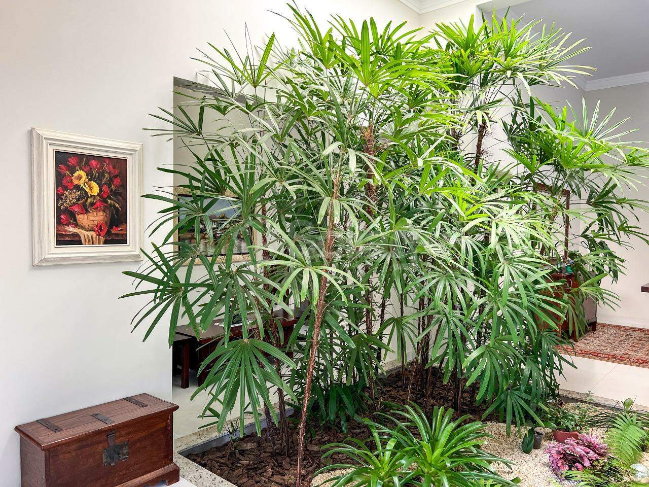 Casa em condomínio à venda no Condomínio Ipê Velho: 