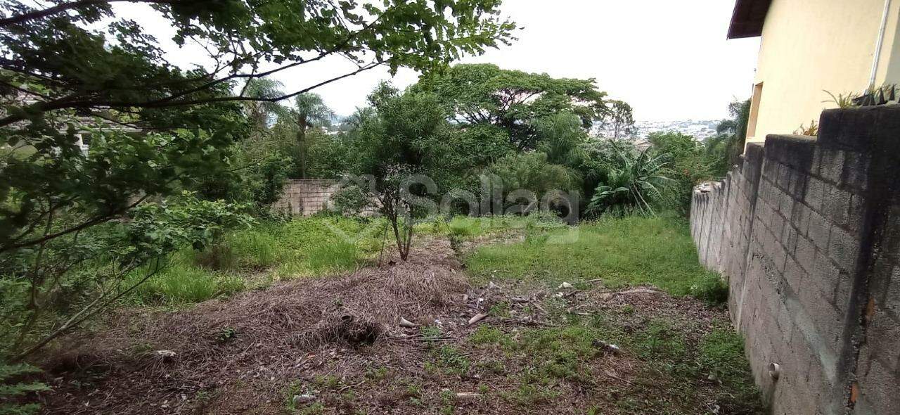 terreno à venda no Jardim Panorama: 