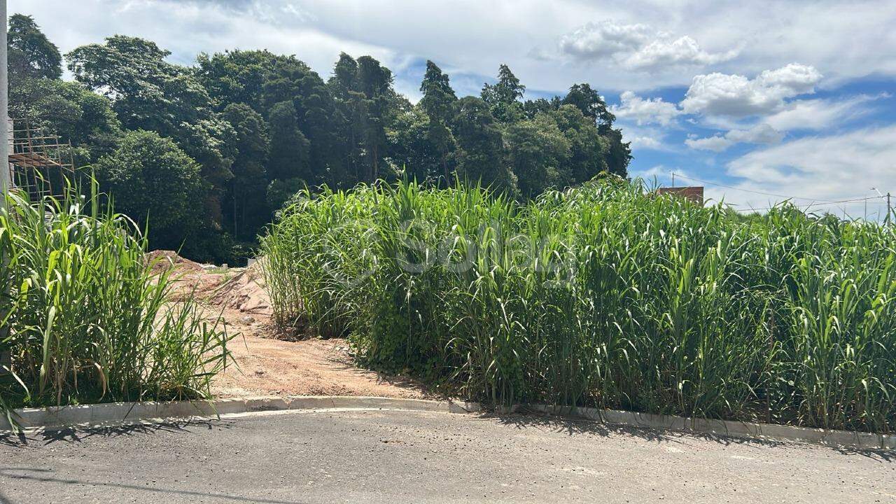 Terreno em condomínio à venda no Pinheirinho: 