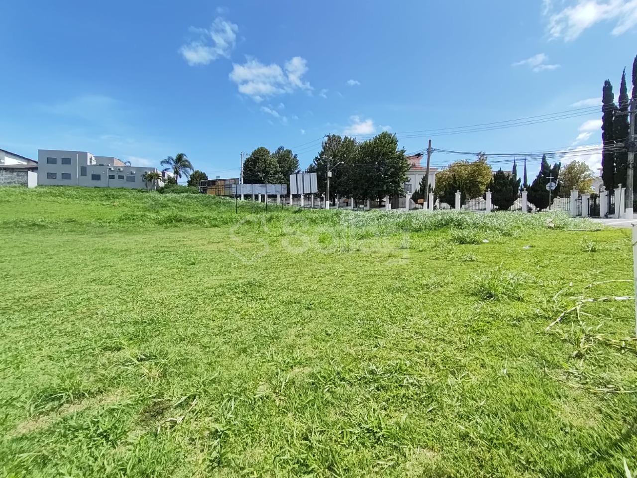 terreno para aluguel no Pinheirinho: 