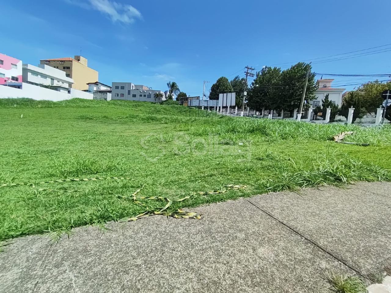 terreno para aluguel no Pinheirinho: 