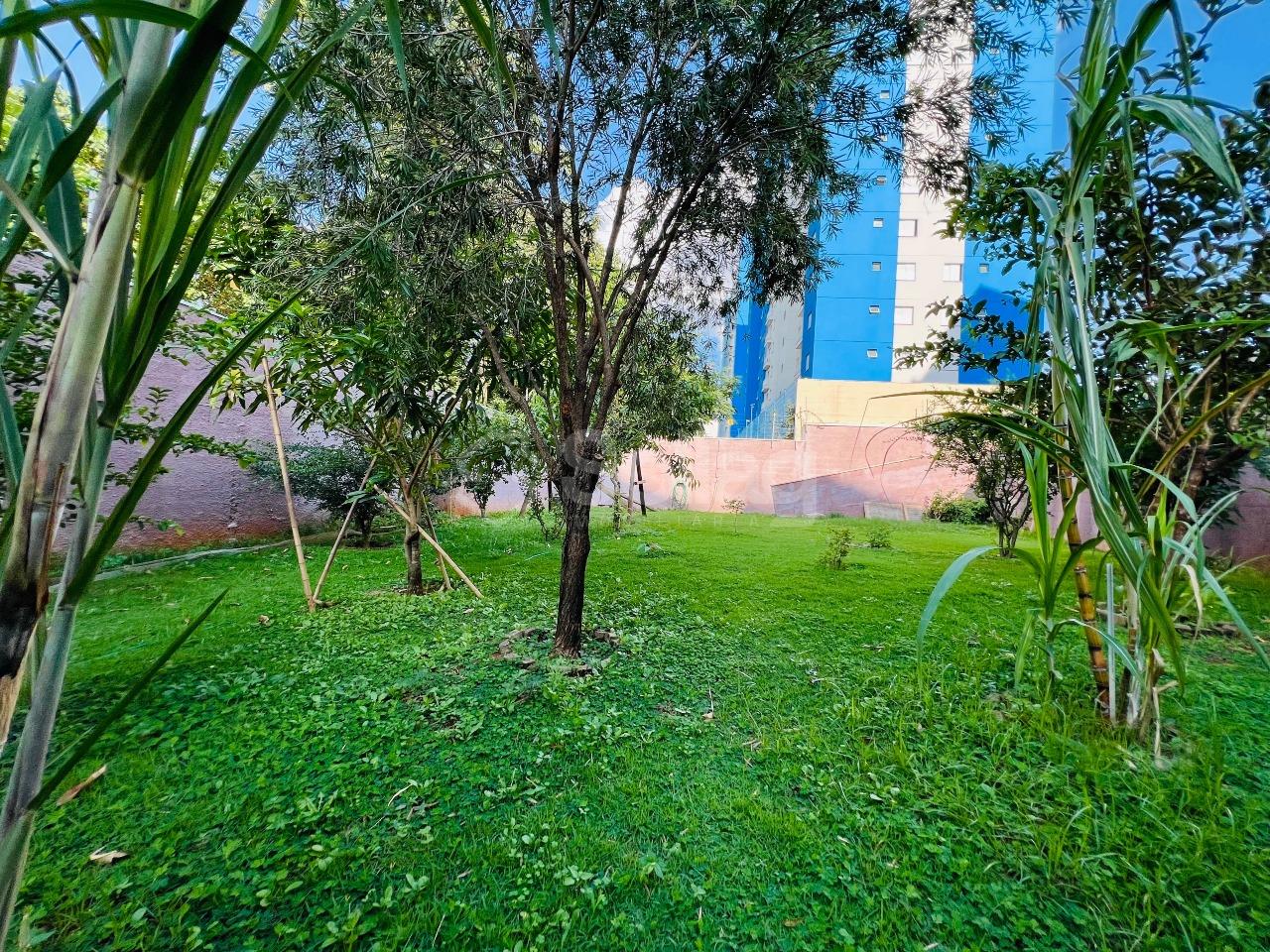 Apartamento à venda no Ortizes: 