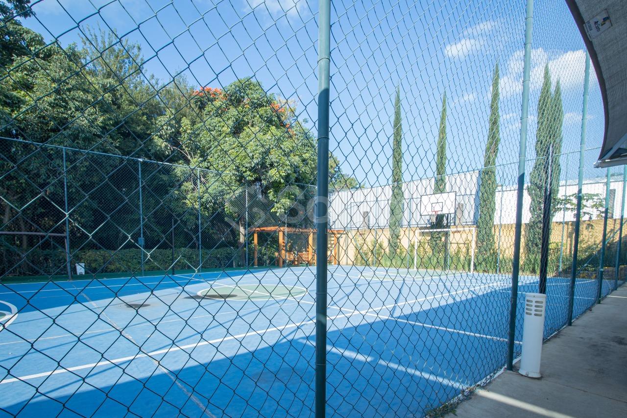 Apartamento para aluguel no Condomínio Europa: 