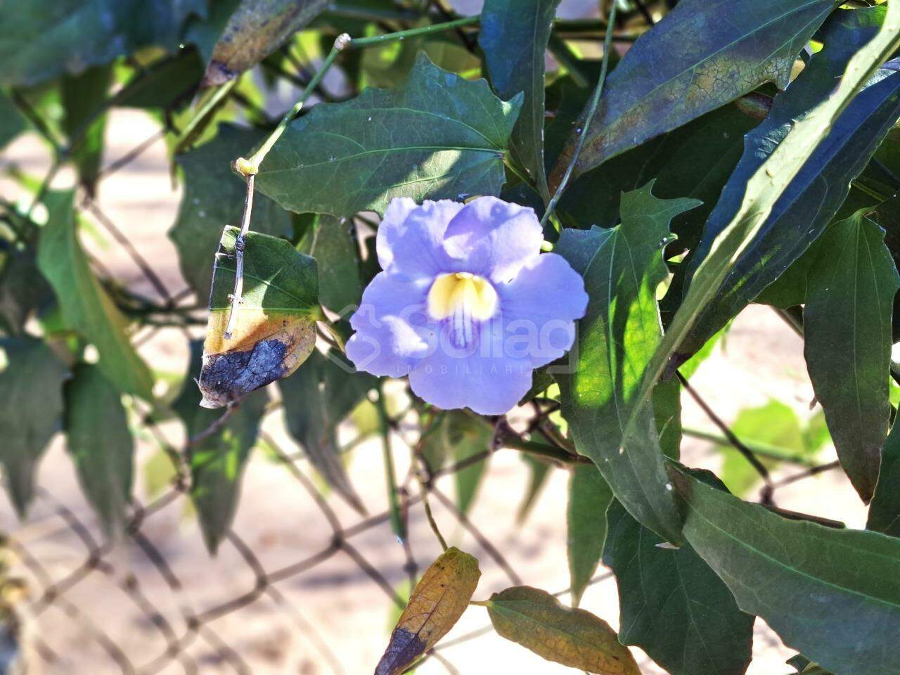 Casa em condomínio à venda no Condomínio Chácaras do Lago: 