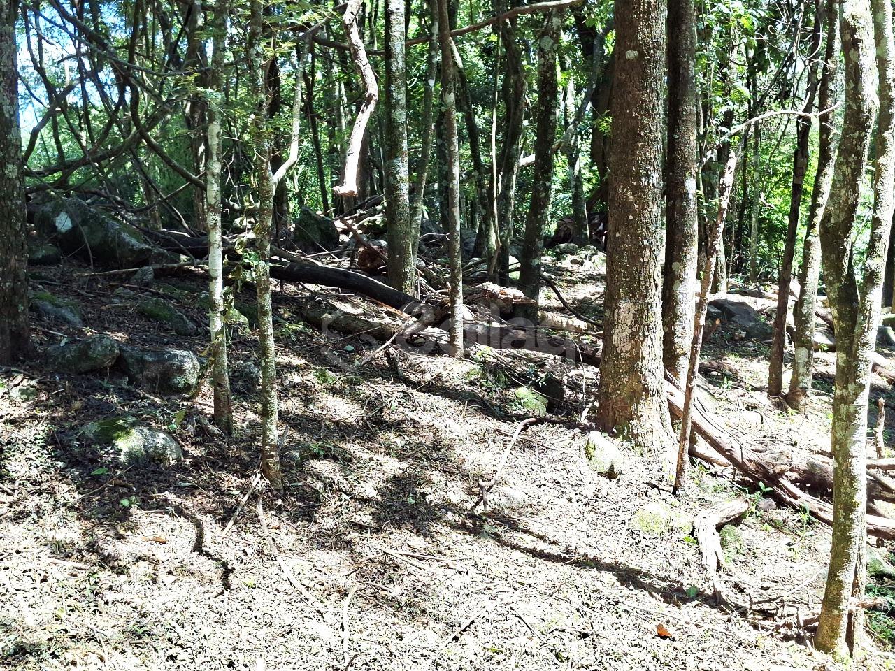 Terreno em condomínio à venda no Condomínio Vale da Santa Fé: 