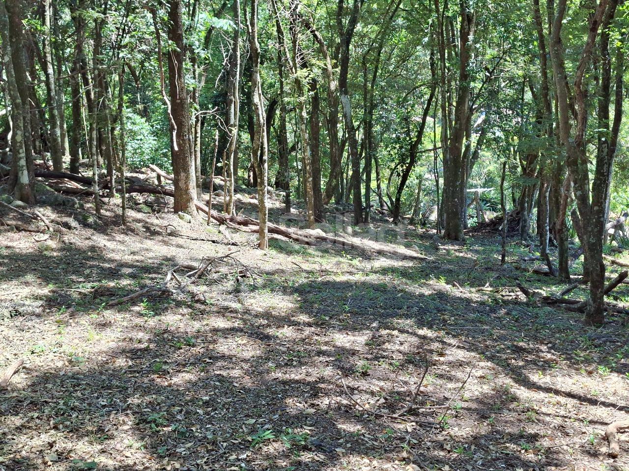 Terreno em condomínio à venda no Condomínio Vale da Santa Fé: 