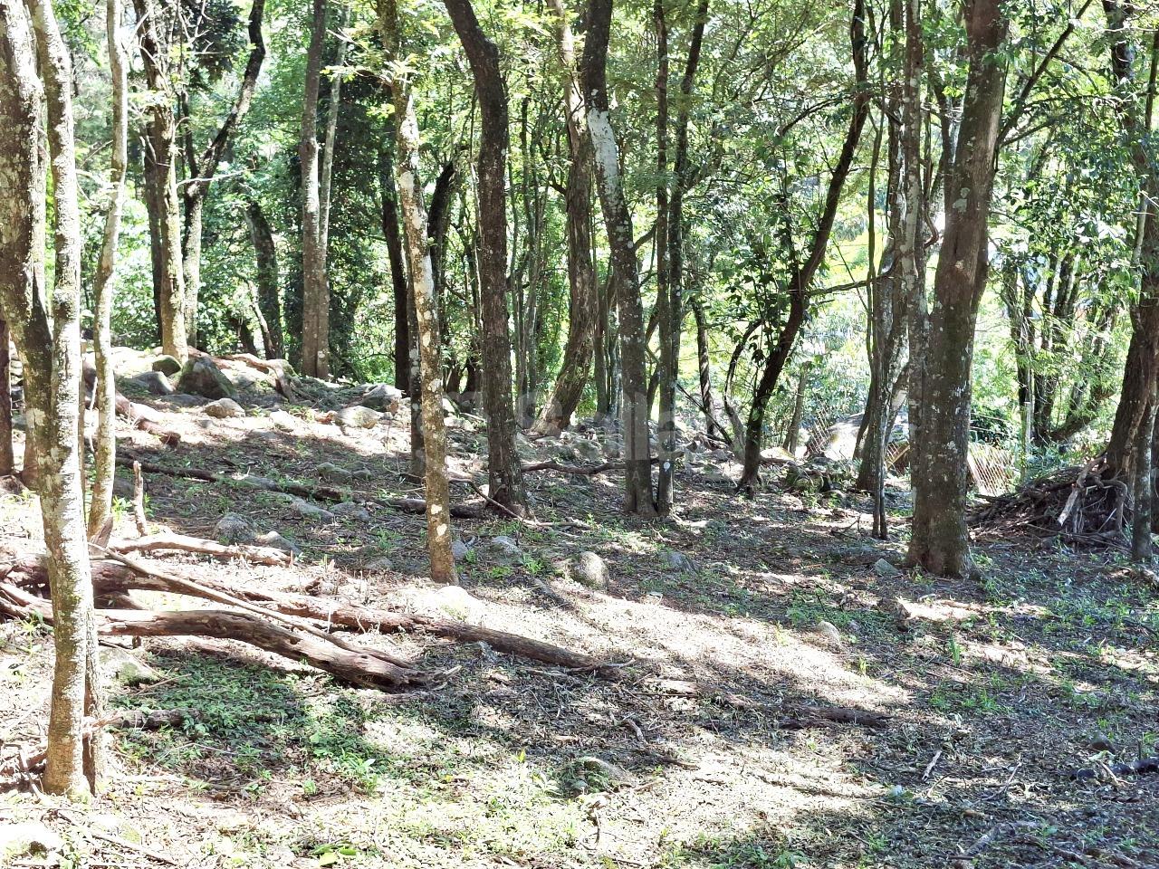 Terreno em condomínio à venda no Condomínio Vale da Santa Fé: 