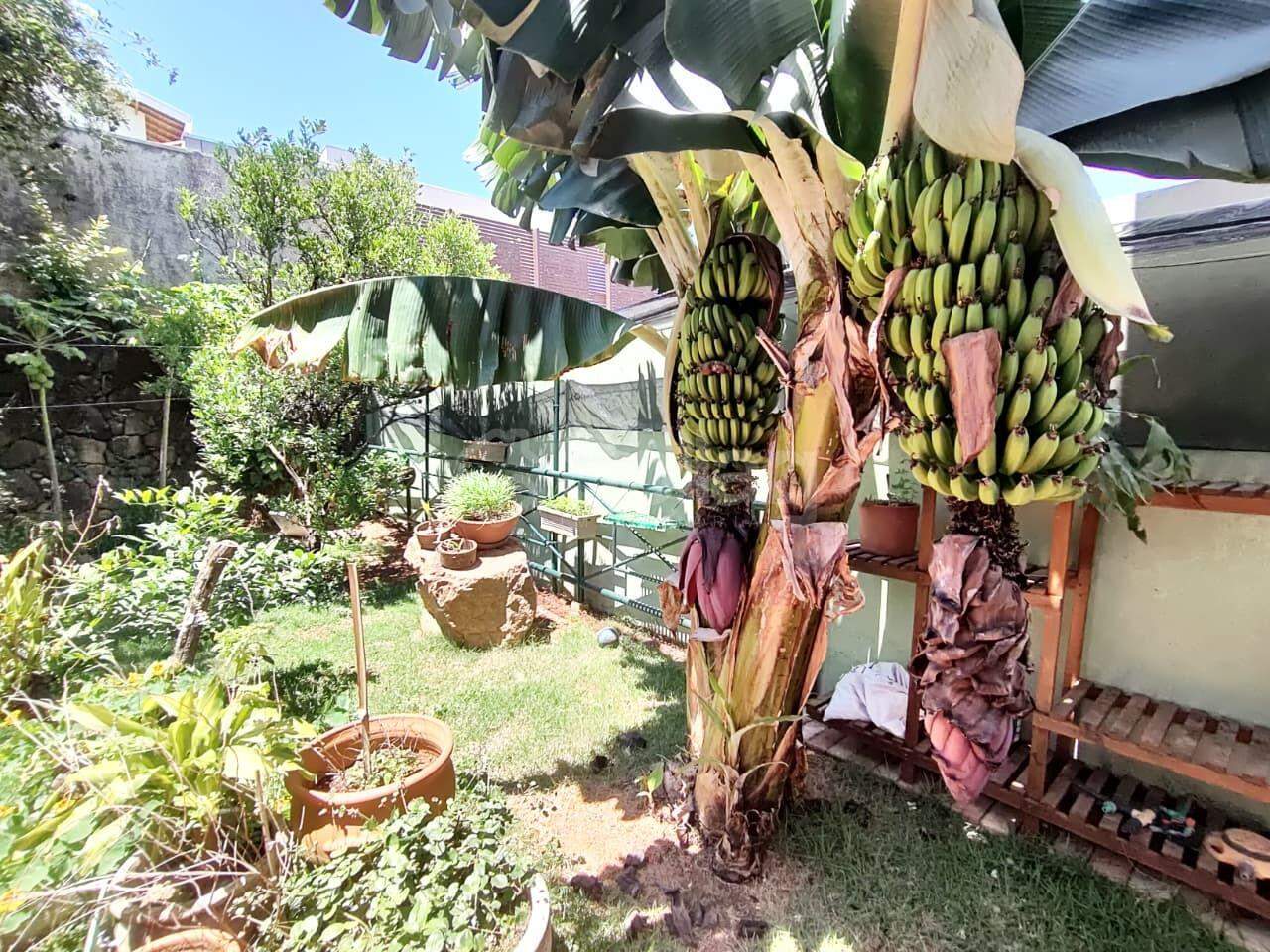 Casa em condomínio à venda no Condomínio Recanto dos Paturis: 