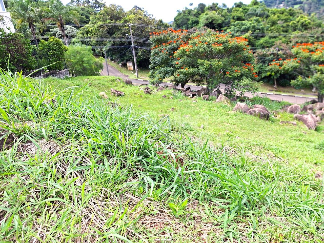 Terreno em condomínio à venda no Condomínio Moinho de Vento: