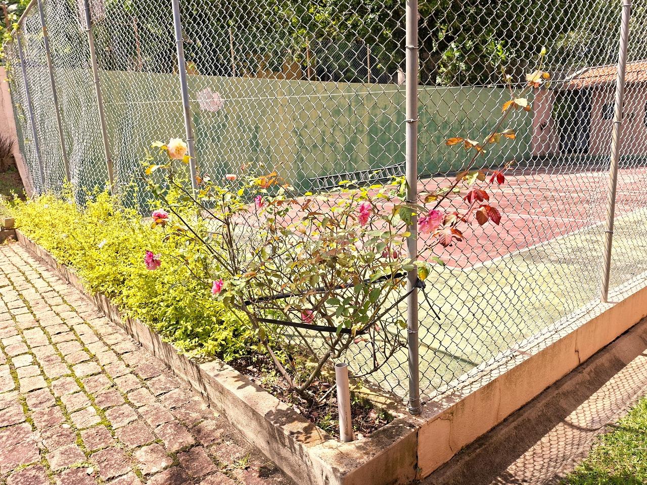 Casa em condomínio à venda no Condomínio Vale da Santa Fé: 