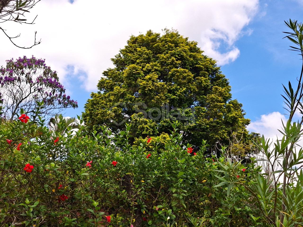 Casa em condomínio à venda no Condomínio Vale da Santa Fé: 