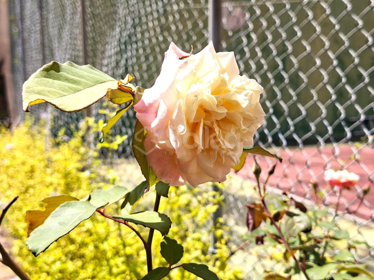 Casa em condomínio à venda no Condomínio Vale da Santa Fé: 