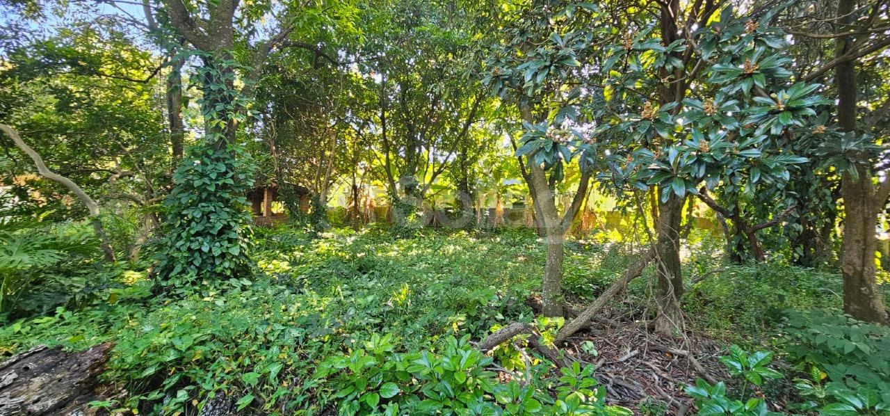 Terreno em condomínio à venda no Condomínio Vista Alegre - Sede: 