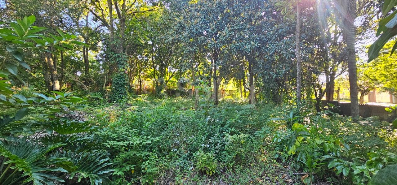 Terreno em condomínio à venda no Condomínio Vista Alegre - Sede: 