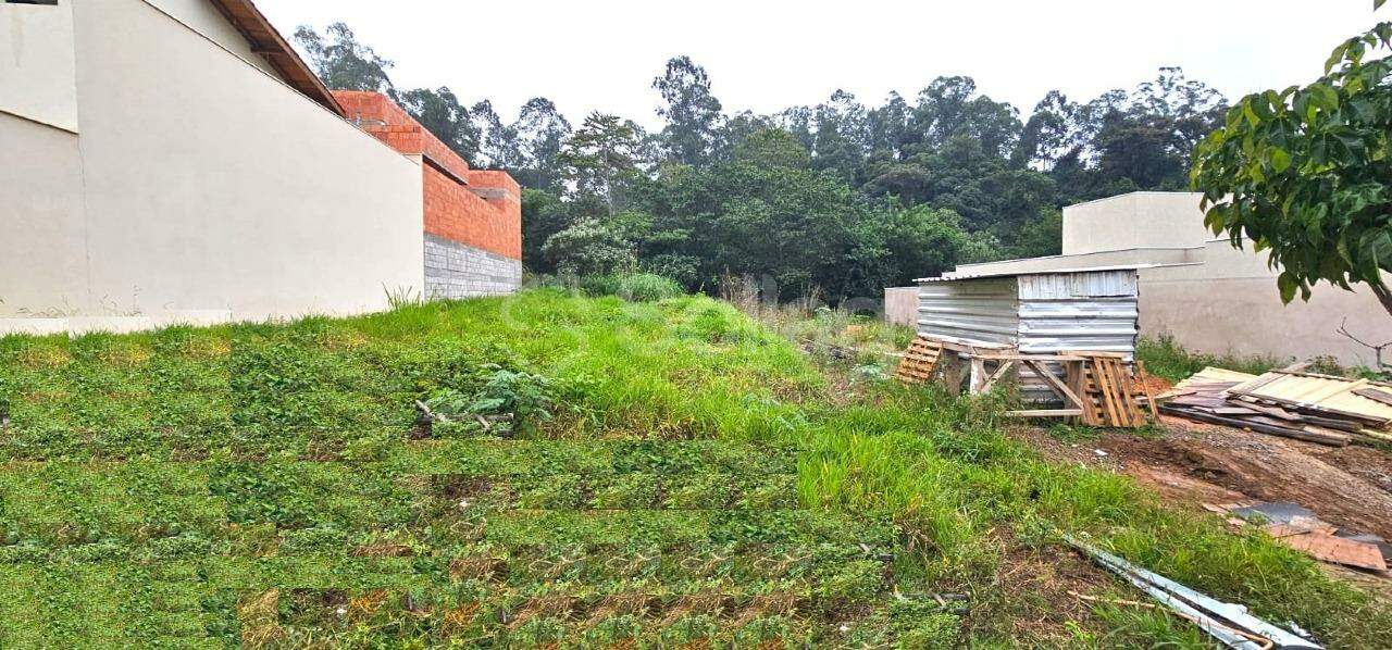 terreno à venda no Pinheirinho: 
