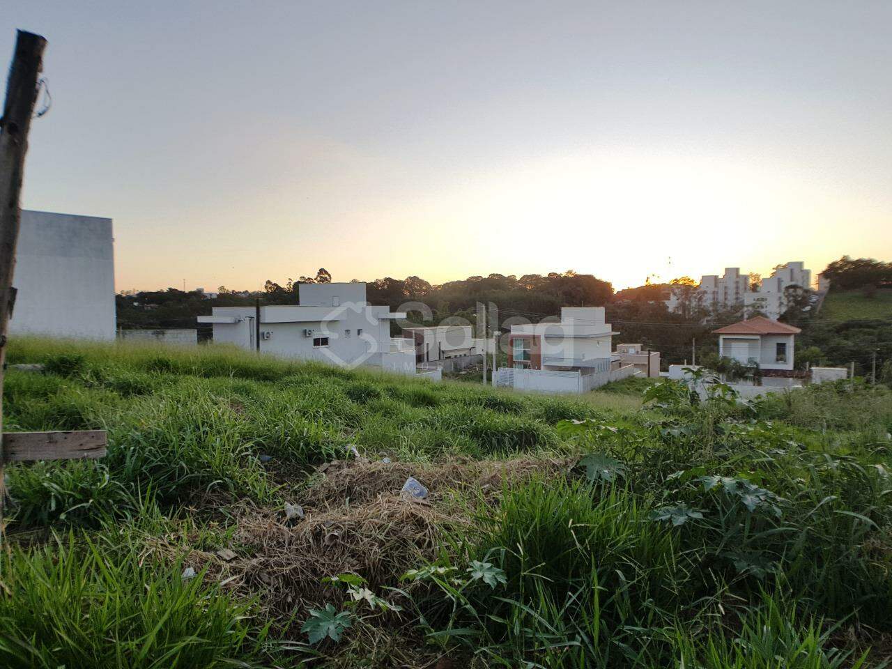 terreno à venda no Marambaia: 