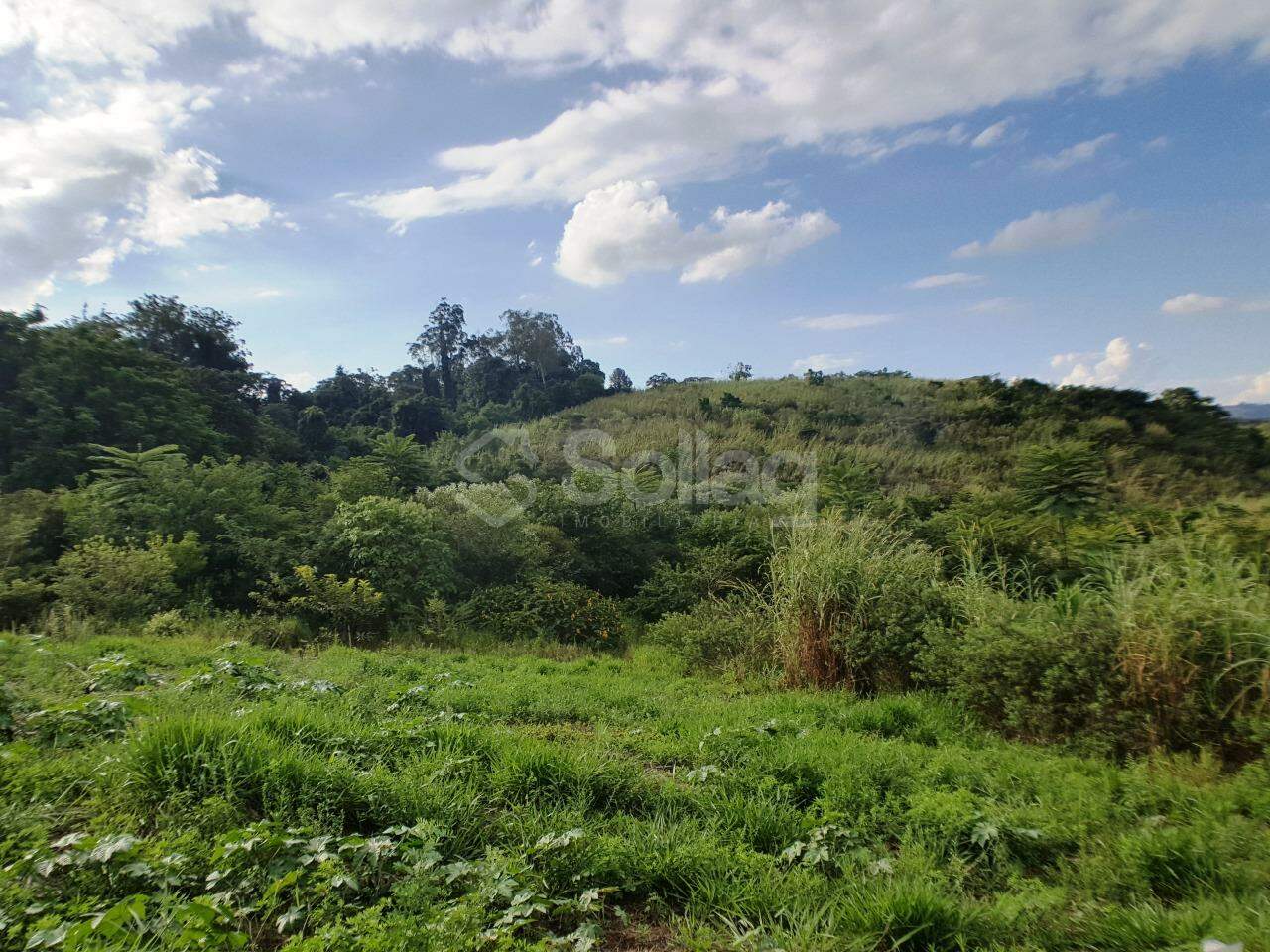 terreno à venda no Parque dos Estados:
