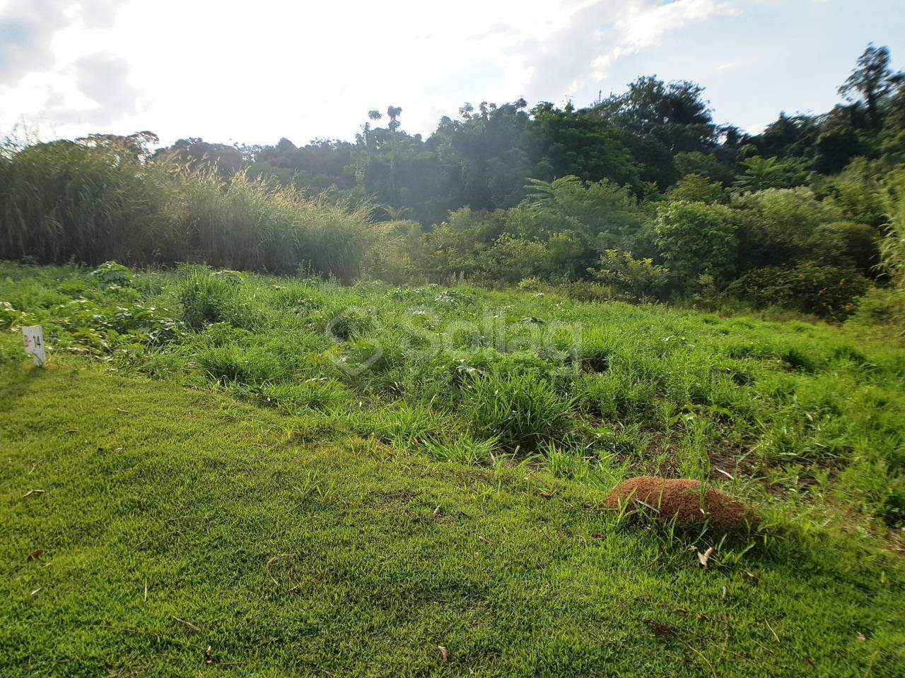 terreno à venda no Parque dos Estados: 