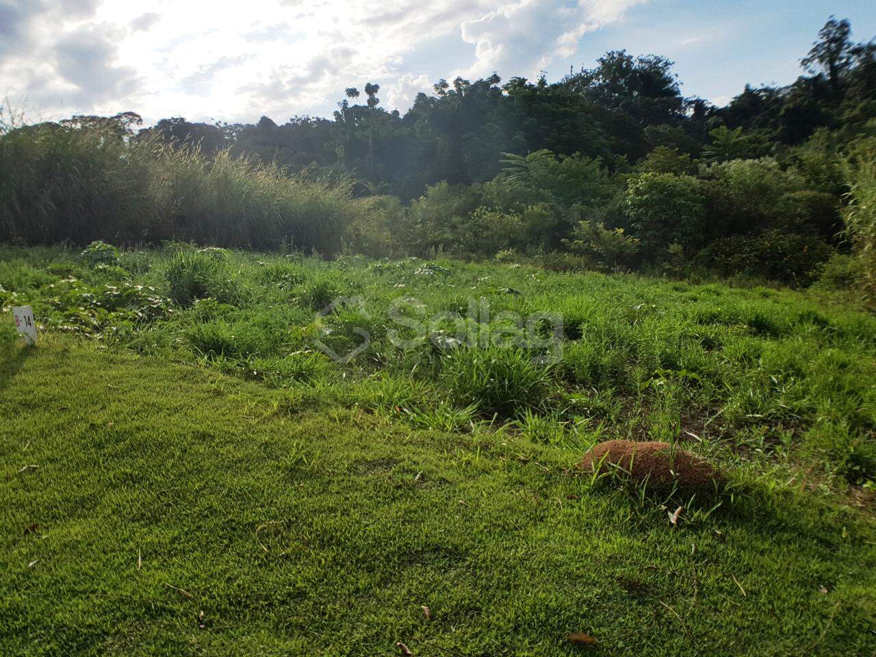 terreno à venda no Parque dos Estados: