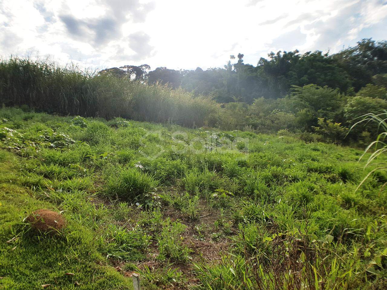 terreno à venda no Parque dos Estados: 