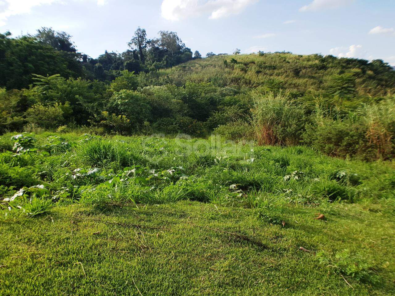 terreno à venda no Parque dos Estados:
