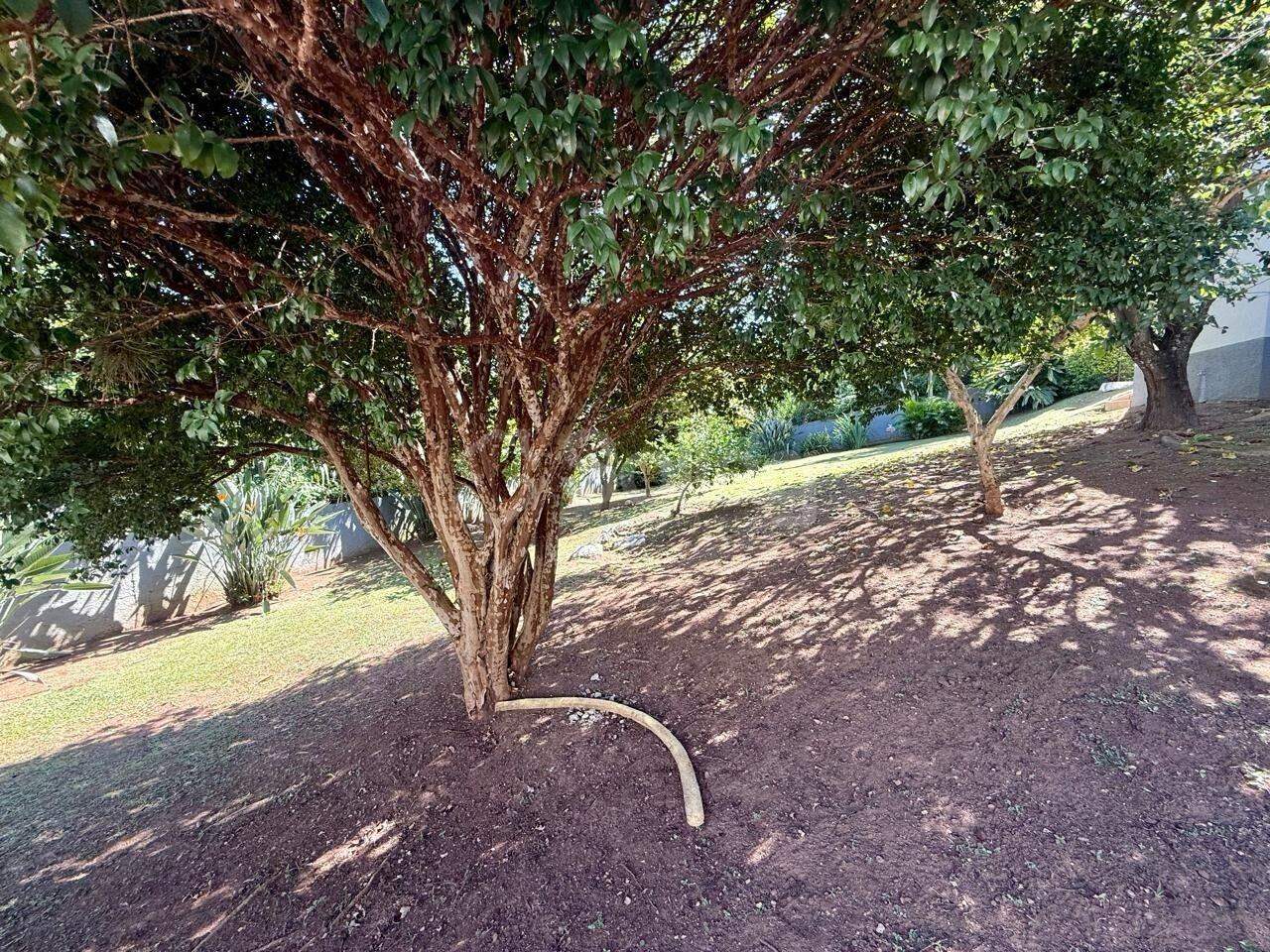 Casa à venda no Bosque: