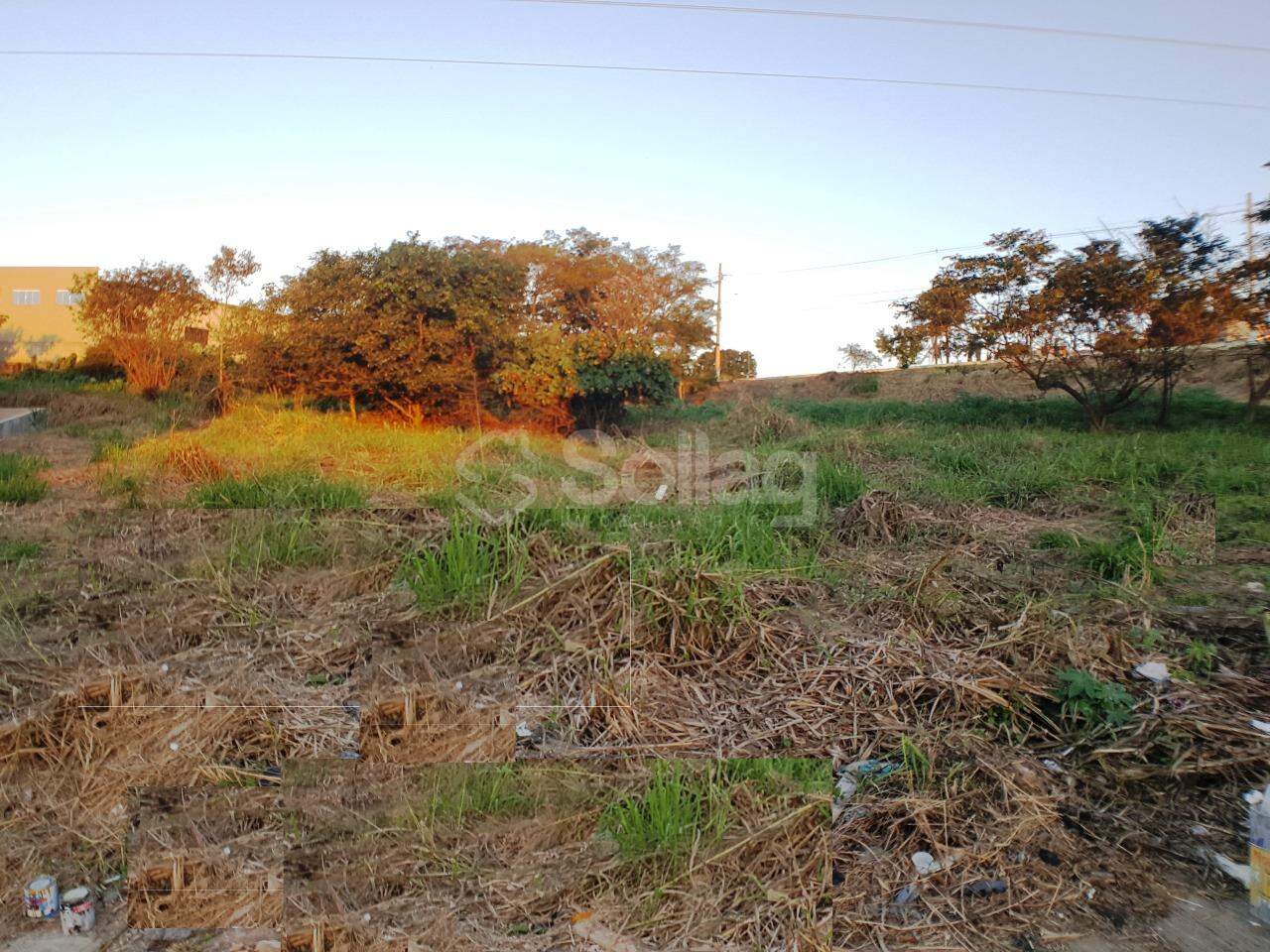 terreno à venda no Santa Claudina: 
