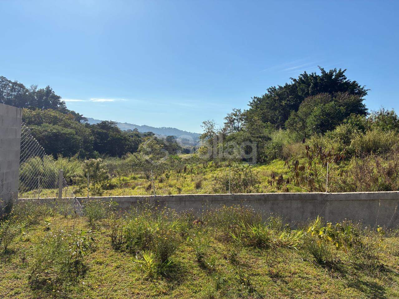 Casa para aluguel no Vila Omizollo: