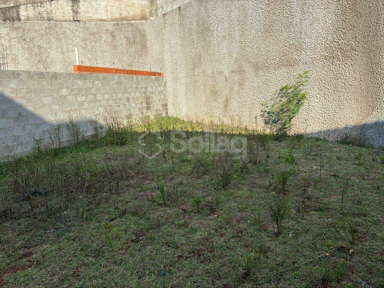 Casa em condomínio para aluguel no Vila Omizollo: 