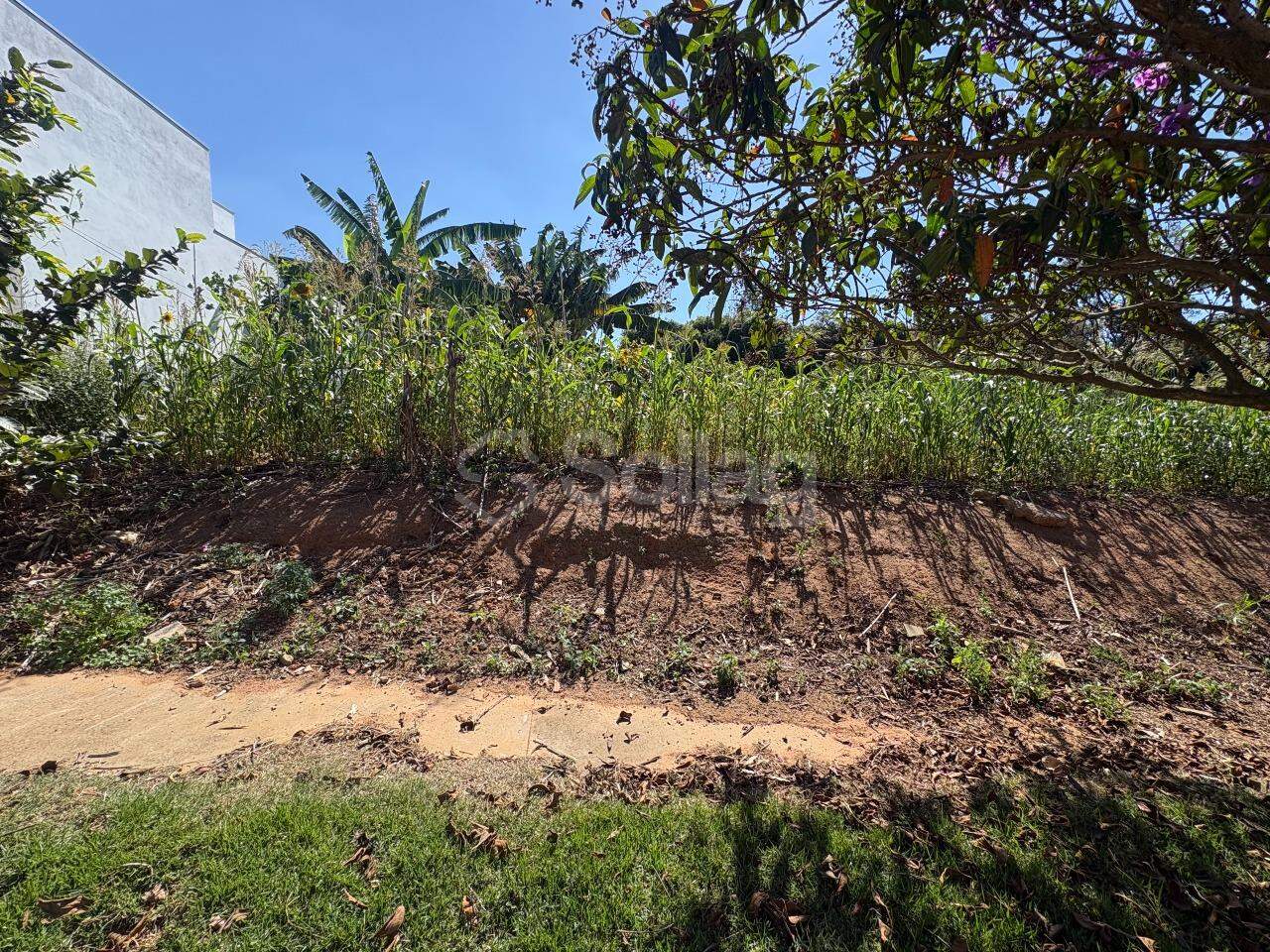 terreno à venda no Residencial Jatobá: 