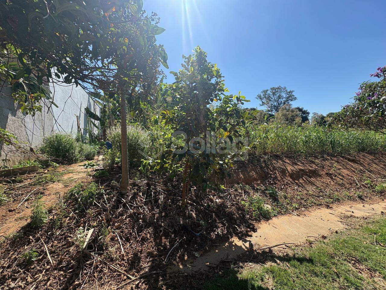 terreno à venda no Residencial Jatobá: 