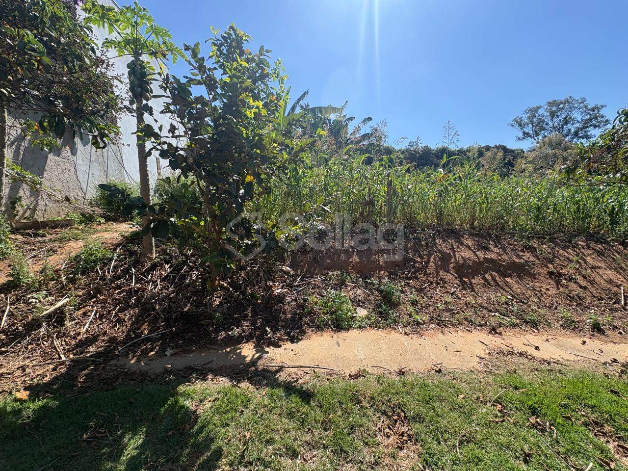 terreno à venda no Residencial Jatobá: 