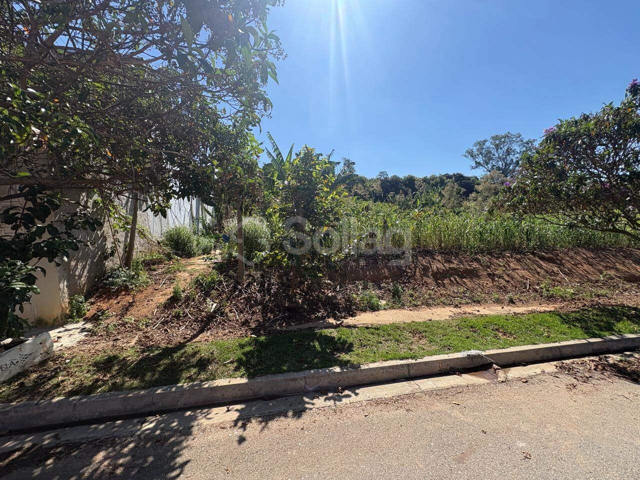 terreno à venda no Residencial Jatobá: 