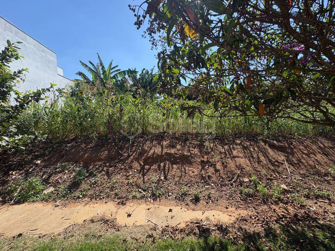 terreno à venda no Residencial Jatobá: 