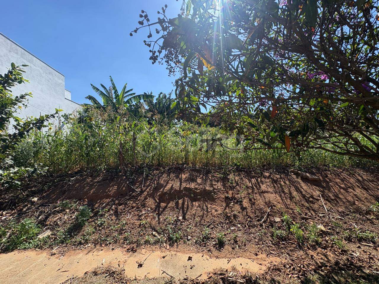 terreno à venda no Residencial Jatobá: 