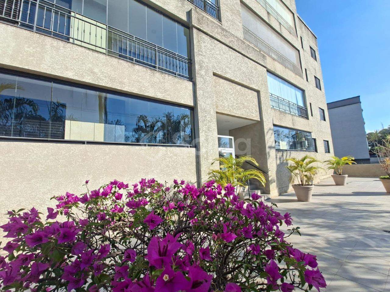 Apartamento para aluguel no Vista Alegre: 