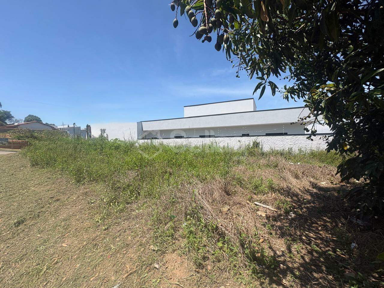 terreno à venda no Jardim das Videiras: 