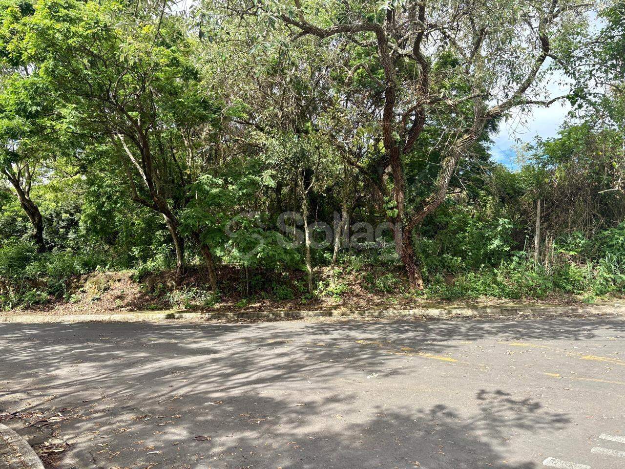 terreno à venda no Bosque: 