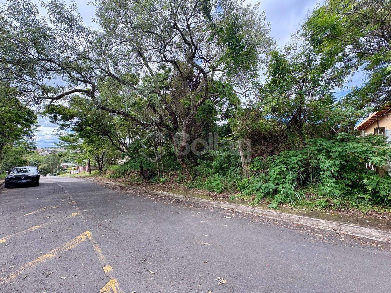 terreno à venda no Bosque: