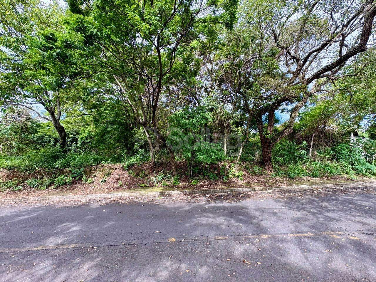terreno à venda no Bosque: